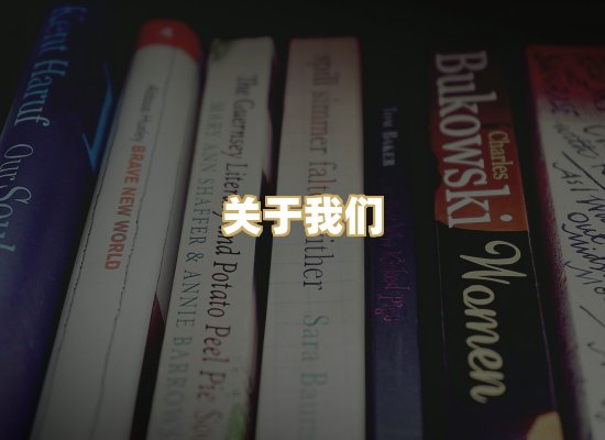 关于我们
